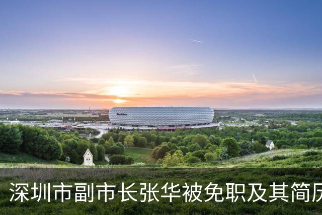深圳市副市长张华被免职及其简历背景